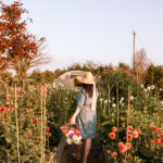Wild Feather Blooms | Brand Shoot
