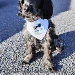 IMG 20221002 100432 859